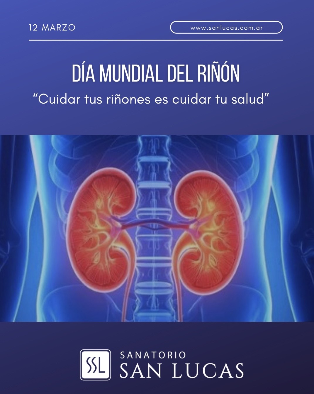 Día Mundial del riñón