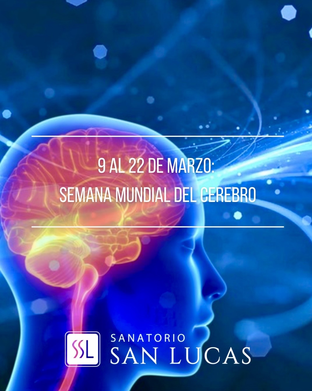Semana mundial del cerebro
