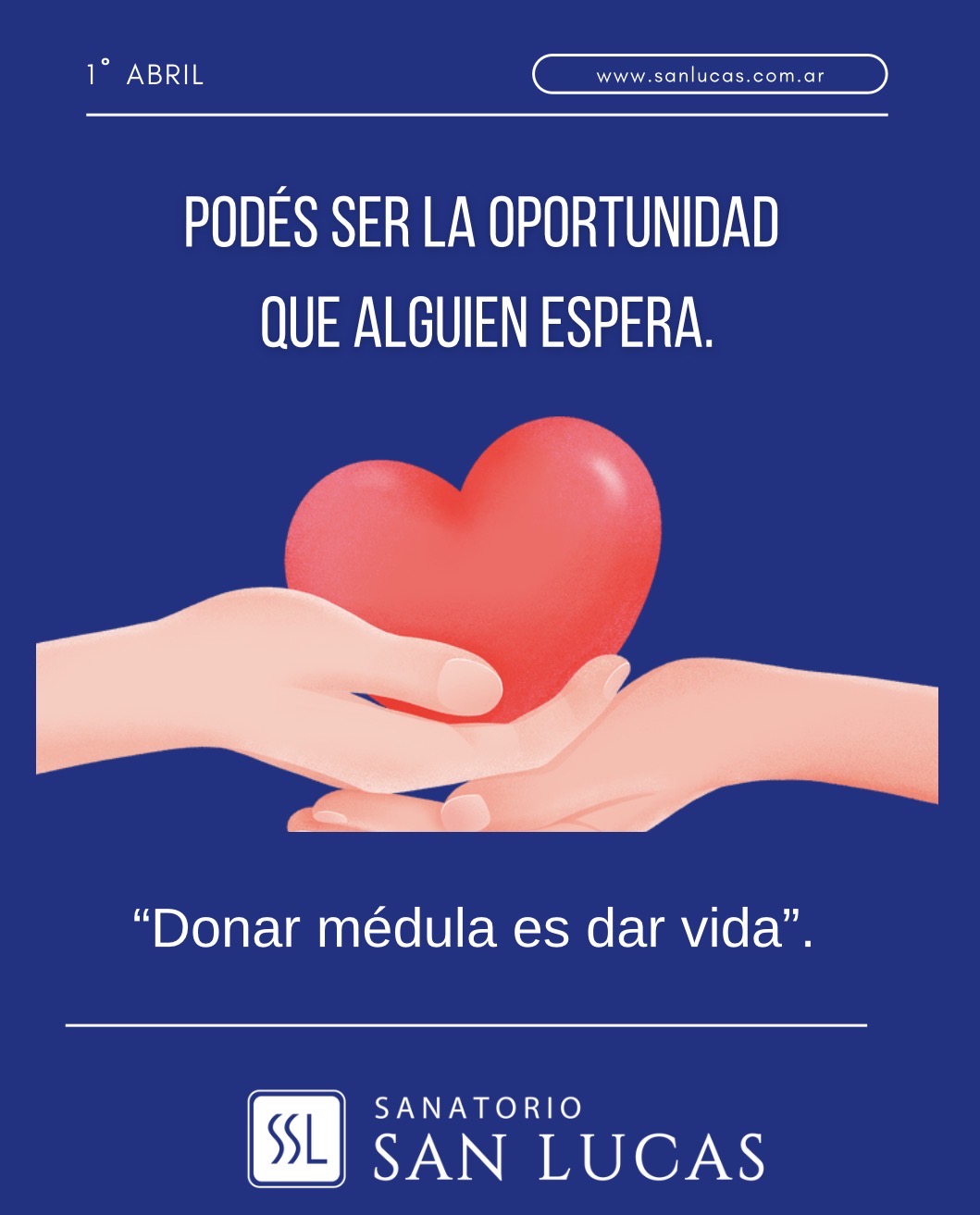 Día Nacional del Donante de Médula Ósea