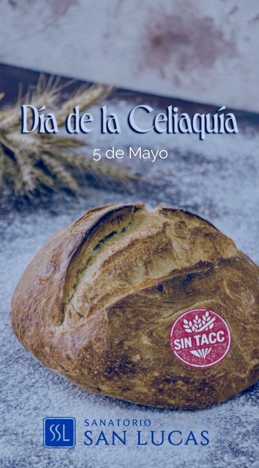 5 de Mayo: Día de la Celiaquía